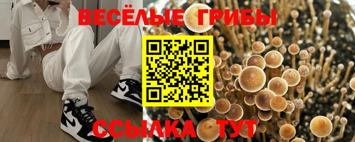 Донецк  Псилоцибиновые грибы мухоморы  Вход с VPN 